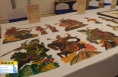 ​《直通县市》华州皮影高质量发展研讨暨全国皮影展示展演大赛举行