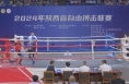 2024陕西省自由搏击联赛在渭南火热开赛