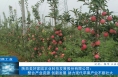 ​【渭南工信】陕西美好家园农业科技发展股份有限公司：整合产业资源 创新发展 助力现代苹果产业不断壮大