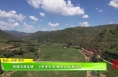 韩城市西庄镇：小田变大田 焕发土地“新活力”