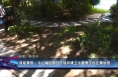 效能聚焦：中心城区部分区域环境卫生管理工作还需加强
