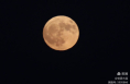 今年首个“超级月亮”现身夜空