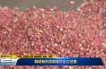 《直通县市》韩城有机花椒首次出口法国
