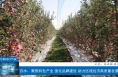 【相约知识产权】白水：聚焦特色产业 强化品牌建设 助力区域经济高质量发展