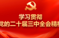 学习贯彻党的二十届三中全会精神  渭南市“东秦新青年”新时代理论宣讲团巡回宣讲走进临渭区崇凝镇