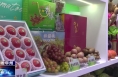 《今朝看华州》渭南市华州区40余种特色农产品亮相第三十一届中国杨凌农业高新科技成果博览会