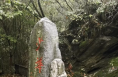 少华山的秋