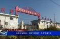临渭区官底镇：种好“梧桐树”  引得“凤凰”来