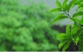 ​渭南今晚到明天多云间晴 11日至12日有小雨