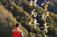 微光渭南：与林为伴 守护青山