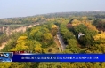 南塬北坡生态治理修复项目已栽植灌木及地被40余万株