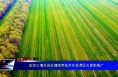 麦田土壤封闭处理除草技术在临渭区大面积推广