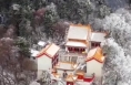 RAP助力第二届武林功夫大会