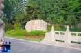 《今朝看华州》渭南市华州区高塘镇：党建引领基层治理   绘就乡村振兴新画卷