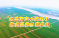 治愈时刻！万亩小麦越冬 绿意温柔了时光