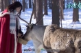 冰雪春天｜白雪换白银 总书记点明如何借“冬”风