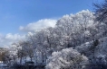 即日起，少华山景区开园！