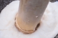 一眼心动的中国｜甜味就在年味里