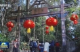 【深情的牵挂】让传统文化焕发时代光彩