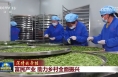 【深情的牵挂】富民产业 助力乡村全面振兴