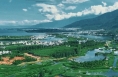 微视频｜谱写全球湿地保护新篇章