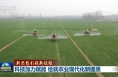 【新思想引领新征程】科技加力赋能 绘就农业现代化新图景