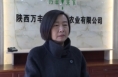 市人大代表王瑞玲：落实惠农政策 促进新型农业经营主体可持续高质量发展