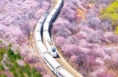 这封春天的来信，你收到了吗？