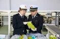 渭南阳光玫瑰葡萄首次出口哈萨克斯坦