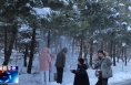 【瞰华州】冰雪少华山与AI剪纸的奇幻交融