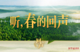 听，春的回声