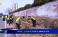 临渭区：社会各界志愿者义务植树添新绿