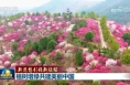 【新思想引领新征程】植树增绿共建美丽中国