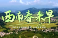 时政微纪录丨西南春来早——习近平总书记赴贵州、云南考察纪实