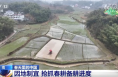 科技赋能为春耕按下“加速键” 春天里的中国孕育丰收希望