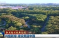 【新思想引领新征程】共植新绿 建设美丽中国