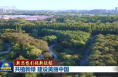 【新思想引领新征程】共植新绿 建设美丽中国