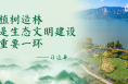 学习新语｜“义务植树是全民行动”
