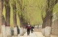 渭南大风降温来袭：阵风可达9级 局地伴有扬沙浮尘