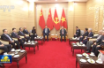 习近平同越共中央总书记苏林话别