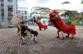 从习主席署名文章看大国外交 | 走近马来舞狮少年，感受“切水不断”世代情谊