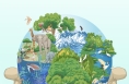 近观“两山”丨守护好蓝色星球