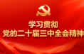 紧紧围绕推进中国式现代化进一步全面深化改革