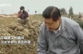 习近平的劳动故事