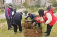 韩城市新城街道：向内探索治理“最优解” 解锁群众幸福“新密钥”