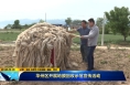 《直通縣市》華州區(qū)開展地膜回收示范宣傳活動(dòng)