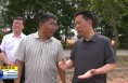 《直通縣市》趙林斌調(diào)研富平縣“三夏”工作