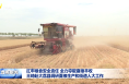 扛牢糧食安全責任 全力奪取夏糧豐收 王琦赴大荔縣調研夏糧生產和街道人大工作