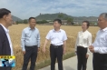 ?《直通縣市》周新強調研韓城市金城街道“三夏”生產工作