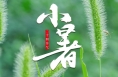 海報(bào)｜今日小暑